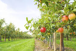 Investing in the Agricultural and Legal Future of Washington